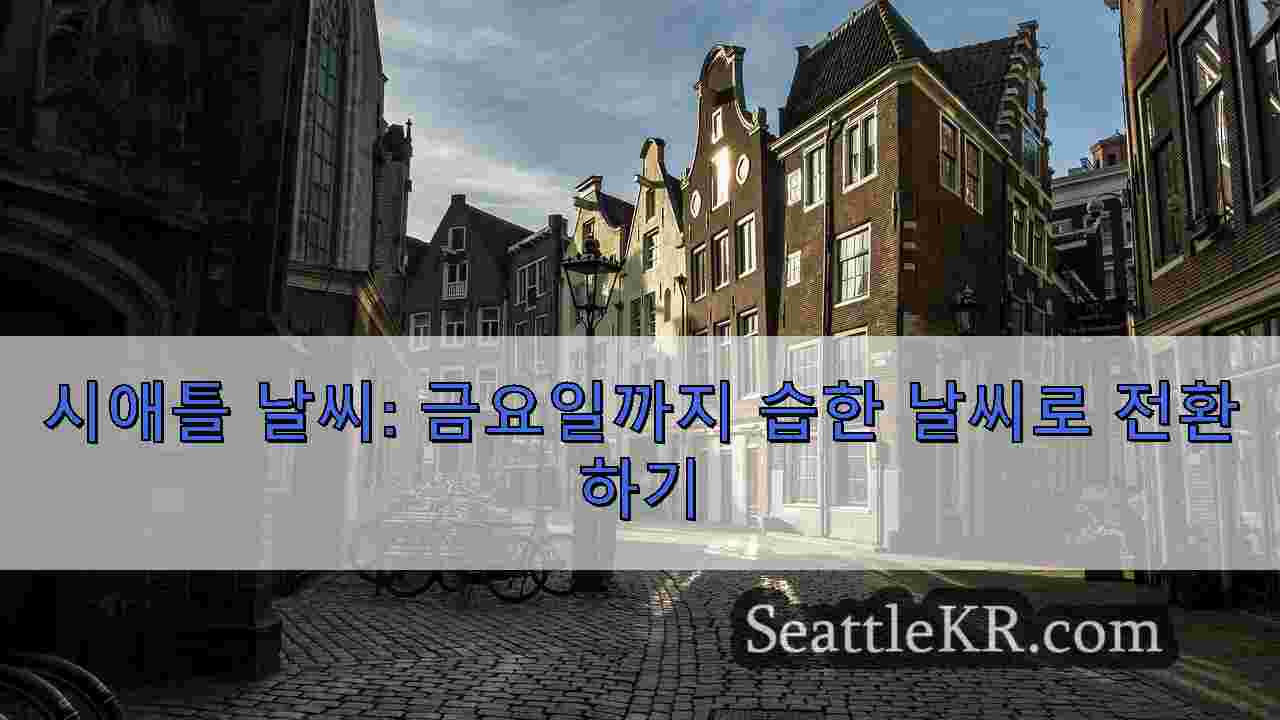 시애틀 뉴스 SeattleKR