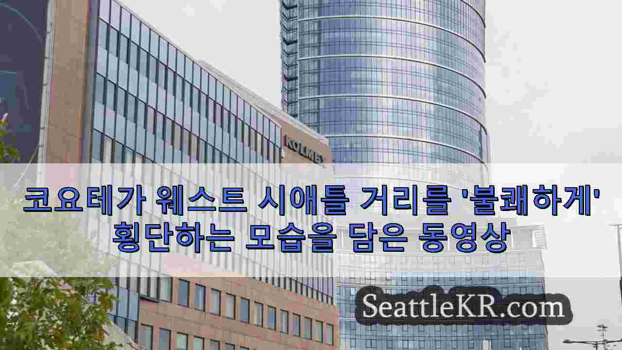 시애틀 뉴스 SeattleKR