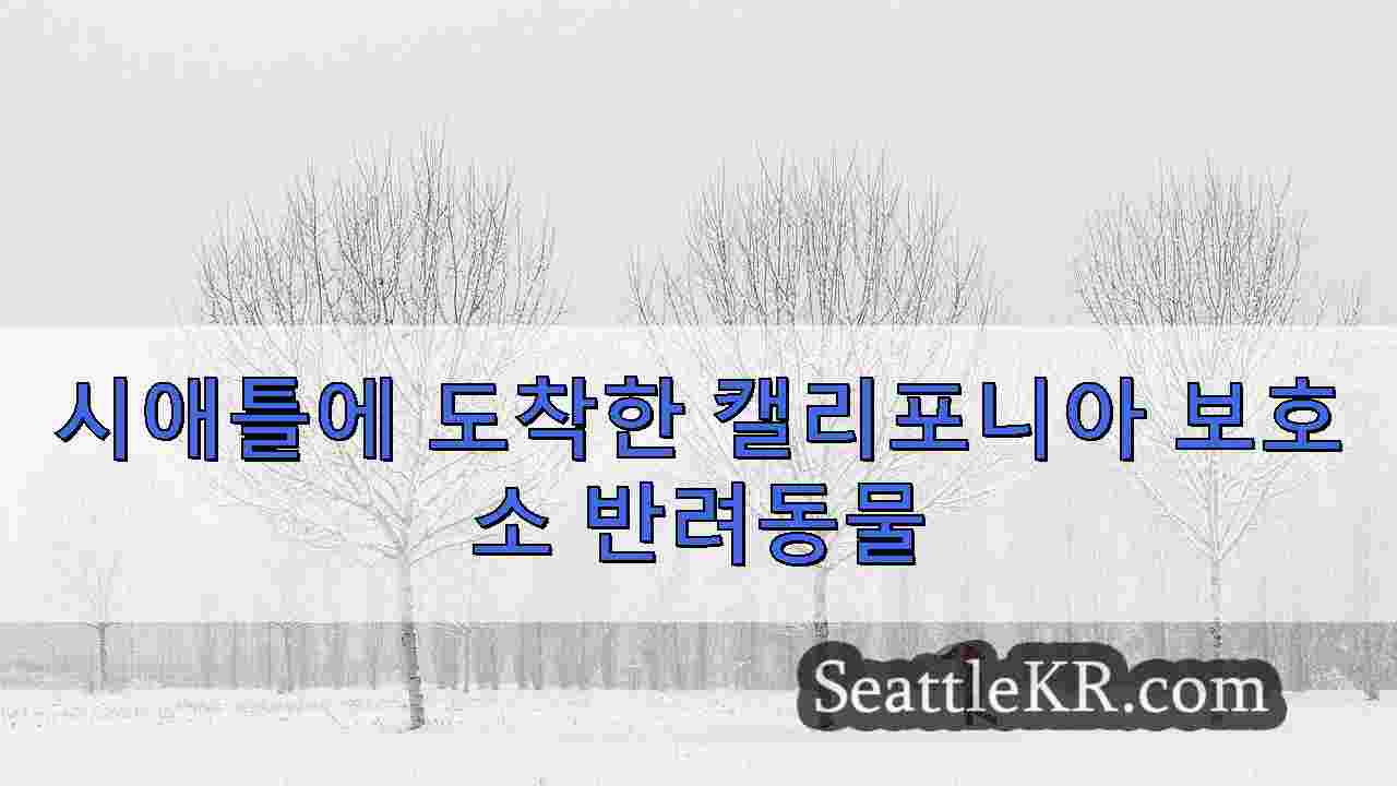 시애틀 뉴스 SeattleKR