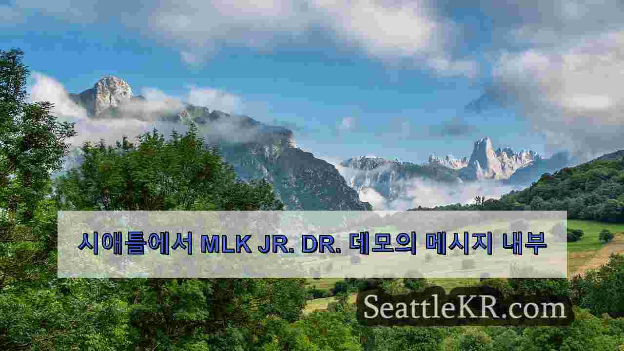 시애틀 뉴스 SeattleKR