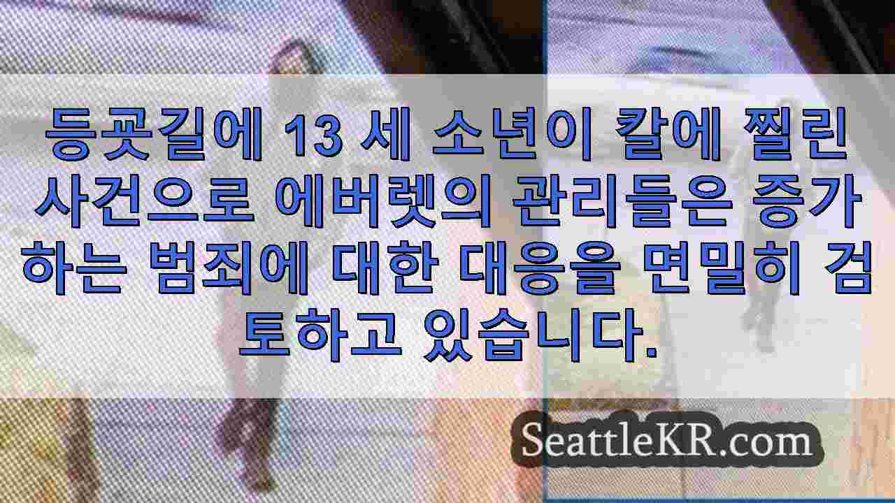 시애틀 뉴스 SeattleKR