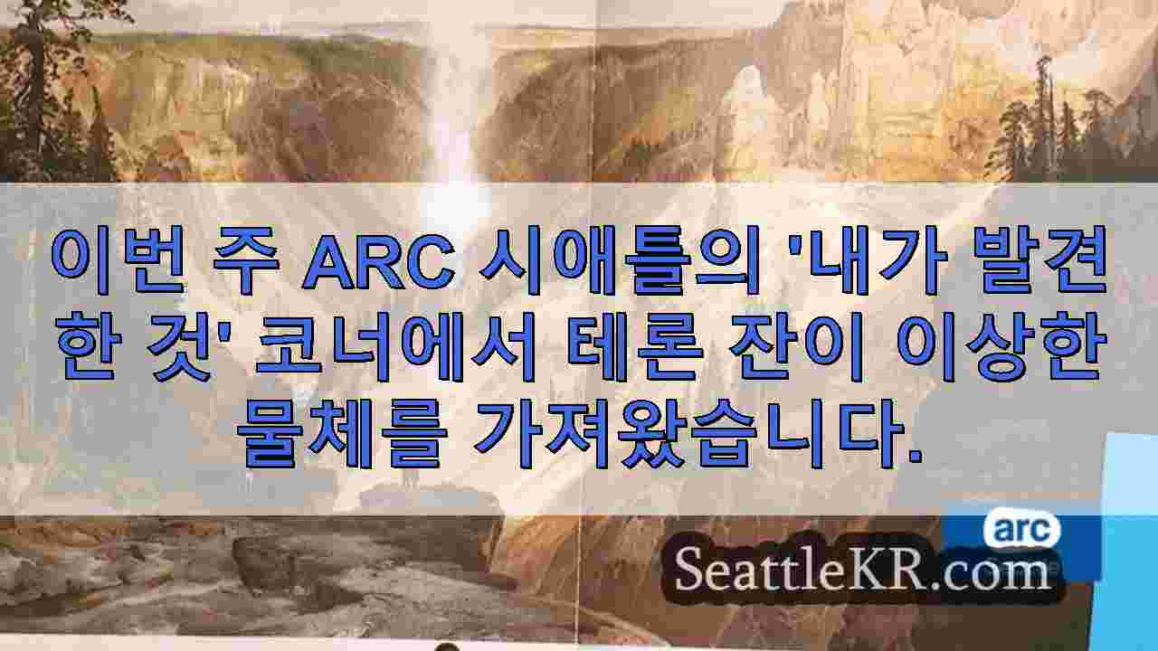 시애틀 뉴스 SeattleKR