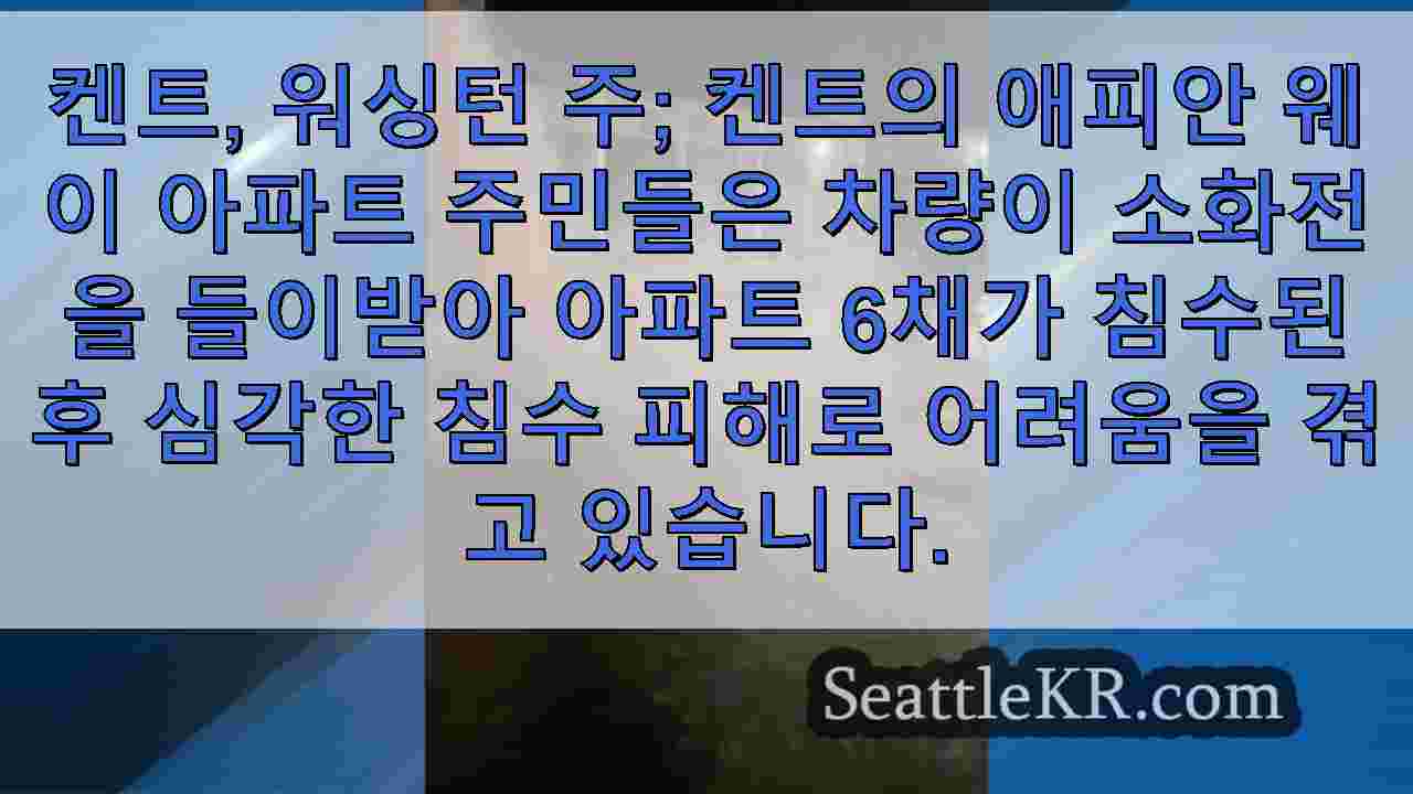시애틀 뉴스 SeattleKR