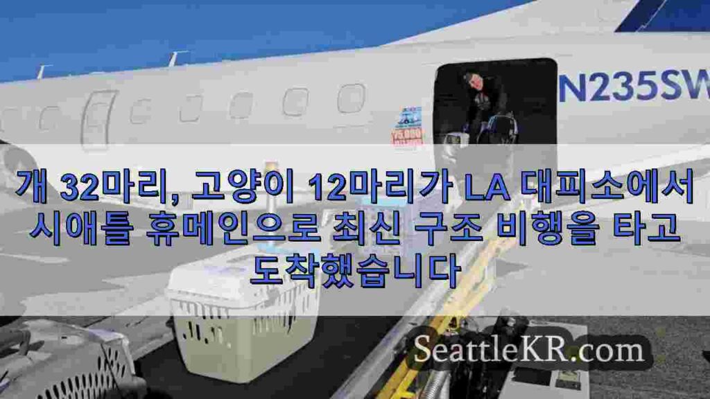 개 32마리, 고양이 12마리가 LA 대피소에서 시애틀 휴메인으로 최신