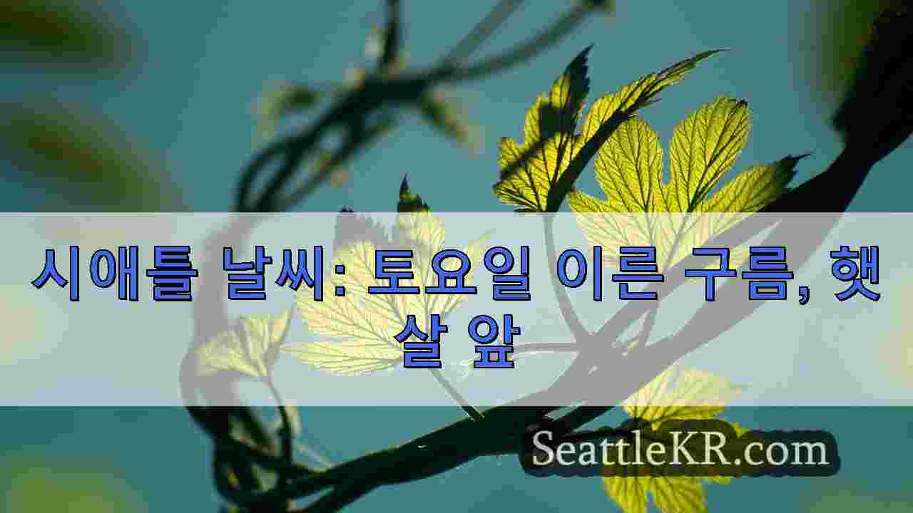 시애틀 뉴스 SeattleKR
