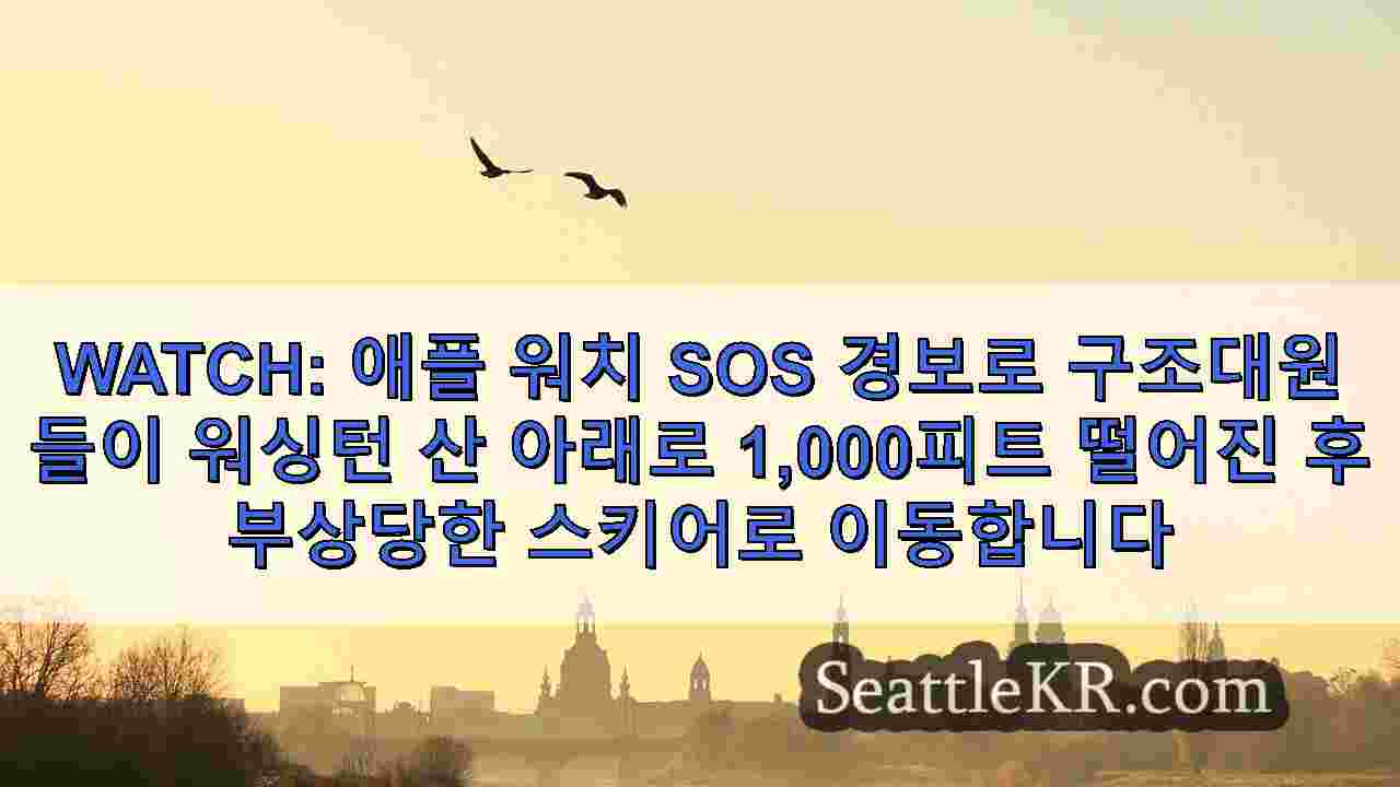 시애틀 뉴스 SeattleKR