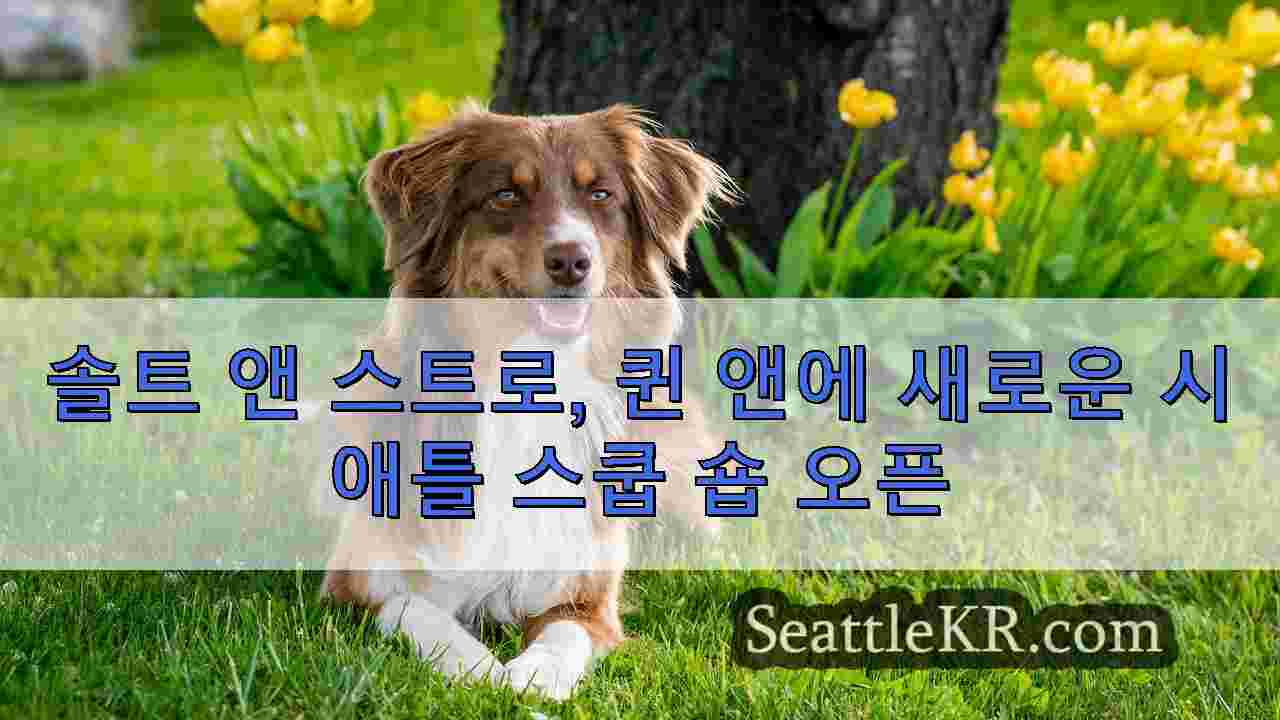 시애틀 뉴스 SeattleKR