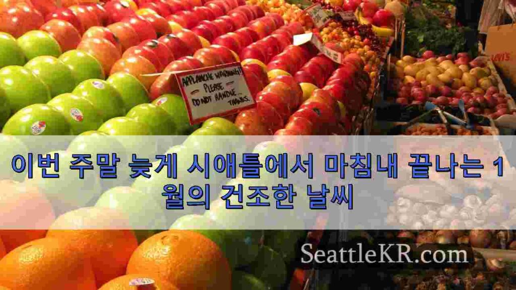 이번 주말 늦게 시애틀에서 마침내 끝나는 1월의 건조한 날씨