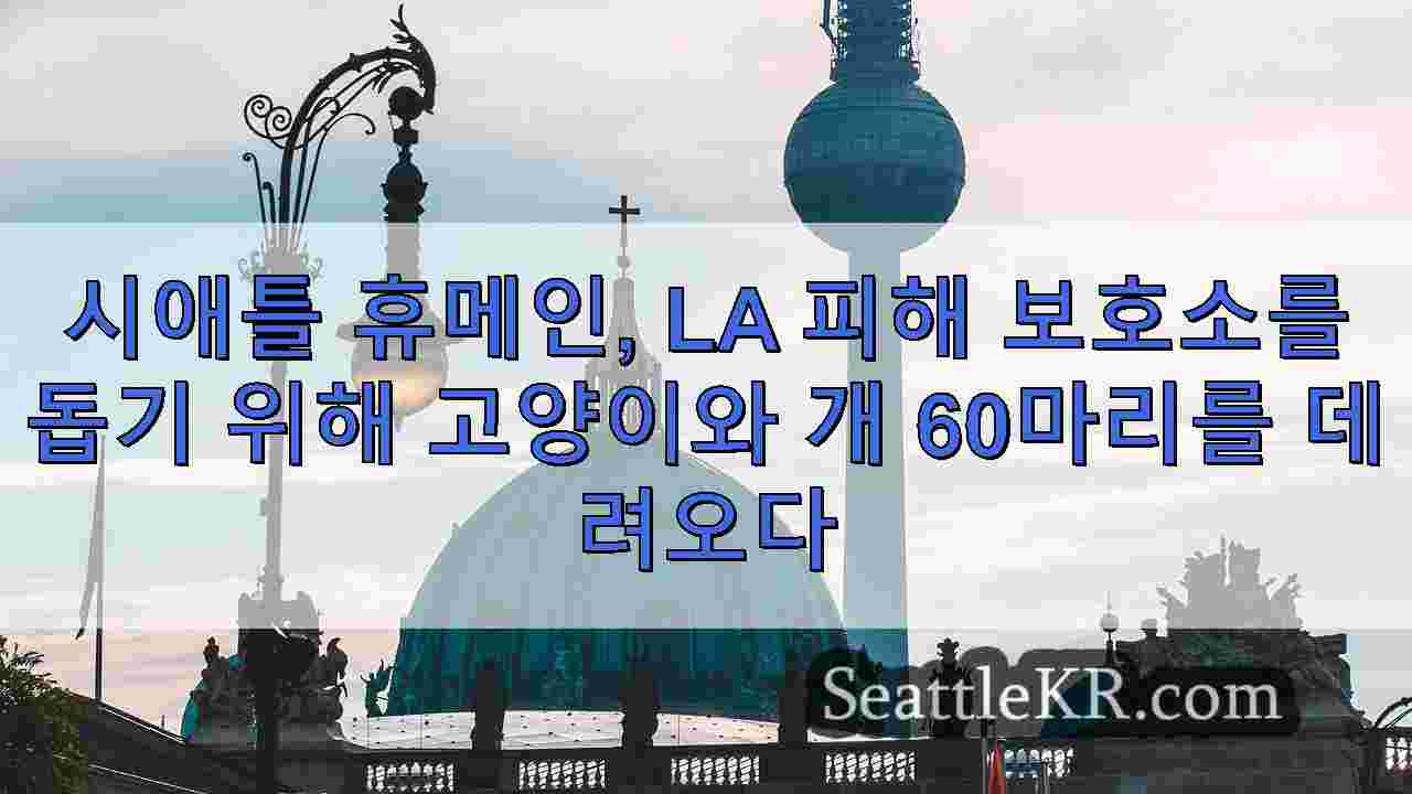 시애틀 뉴스 SeattleKR