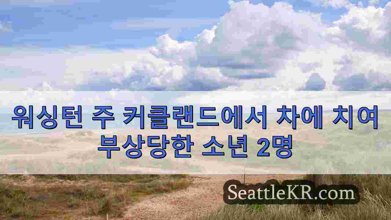 시애틀 뉴스 SeattleKR