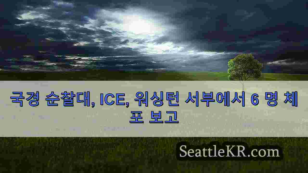 시애틀 뉴스 SeattleKR