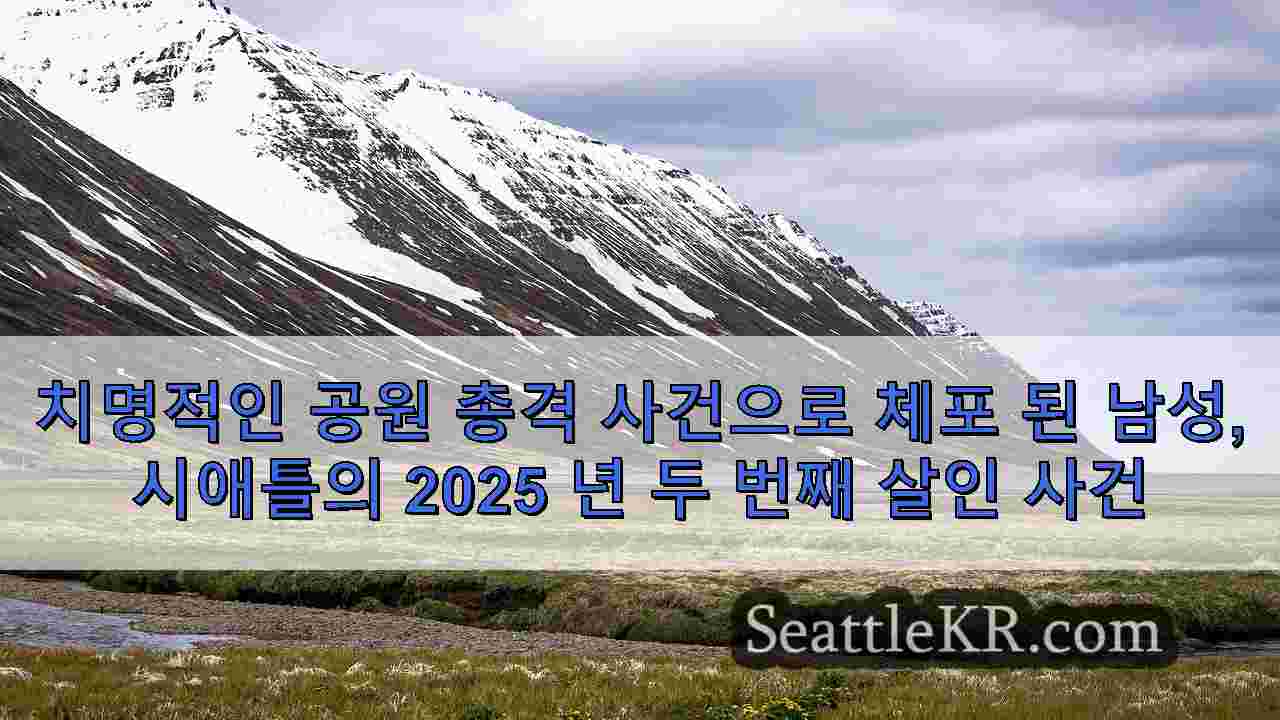 치명적인 공원 총격 사건으로 체포 된 남성, 시애틀의 2025 년 두