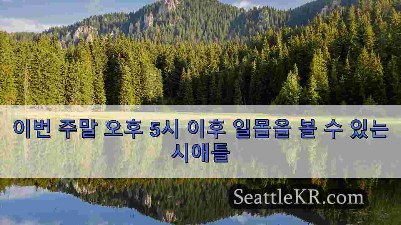 시애틀 뉴스 SeattleKR