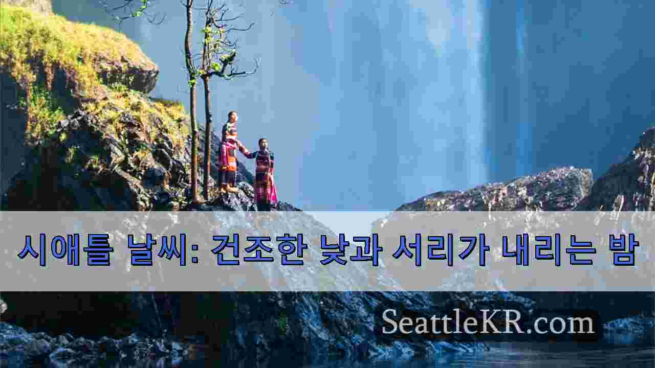 시애틀 뉴스 SeattleKR