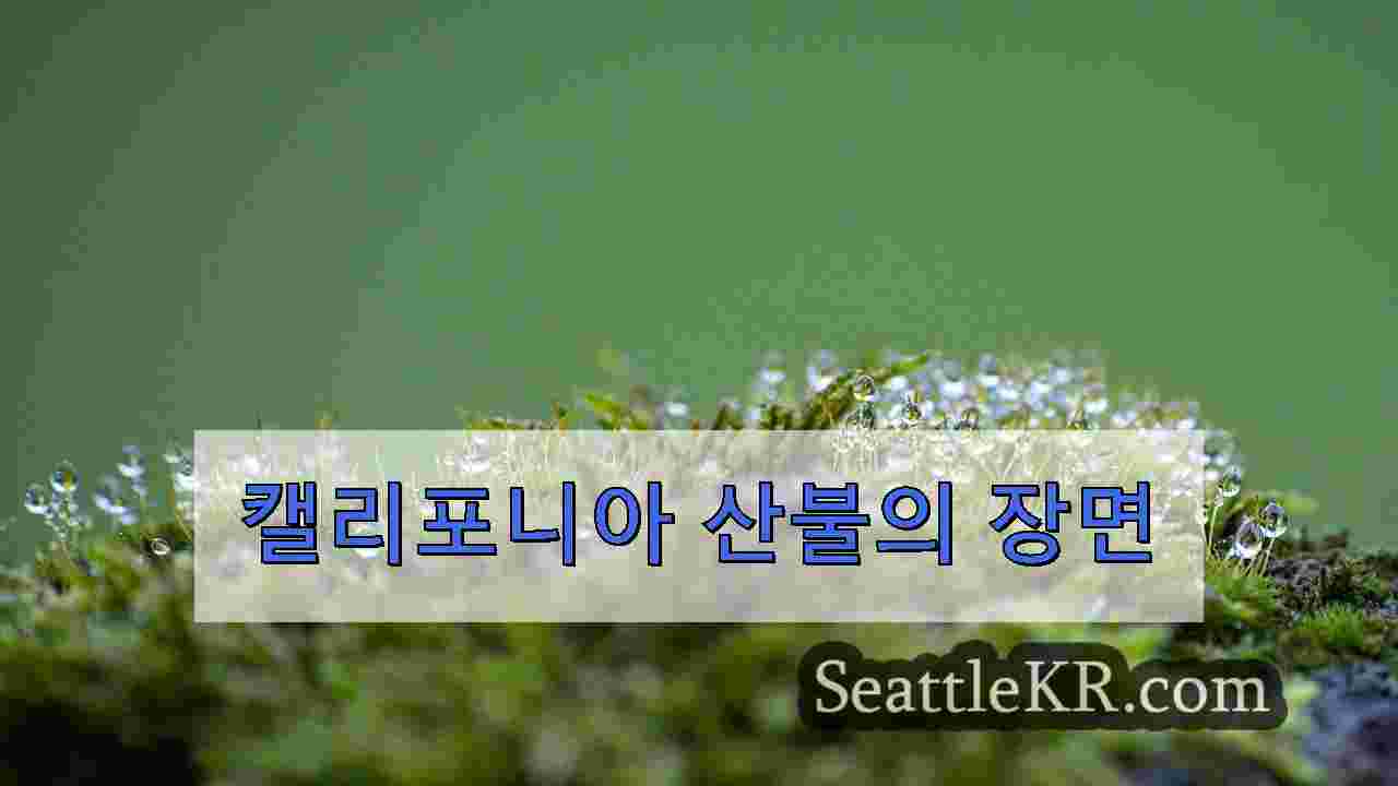 시애틀 뉴스 SeattleKR