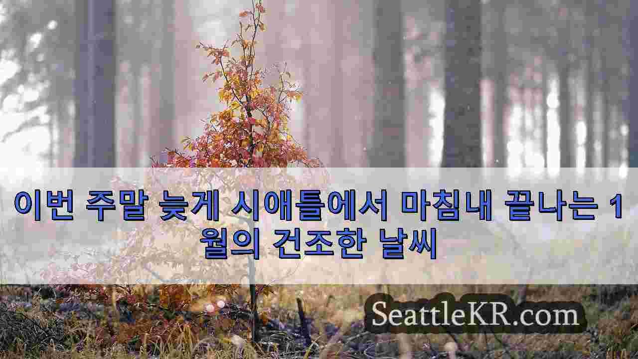 시애틀 뉴스 SeattleKR