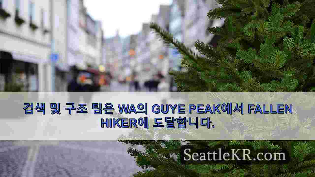 시애틀 뉴스 SeattleKR