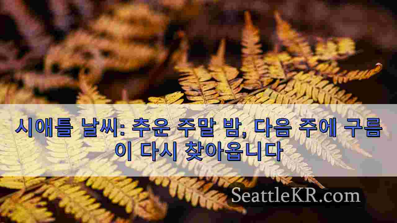 시애틀 뉴스 SeattleKR