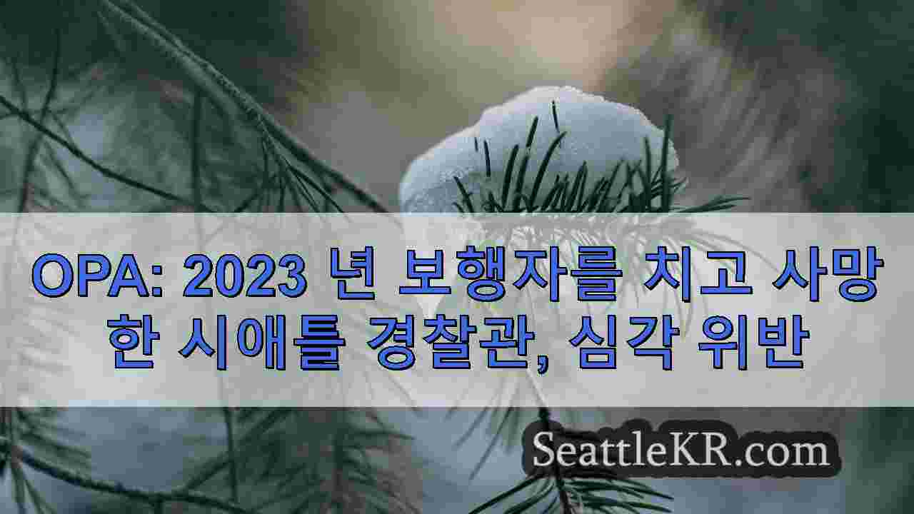 시애틀 뉴스 SeattleKR