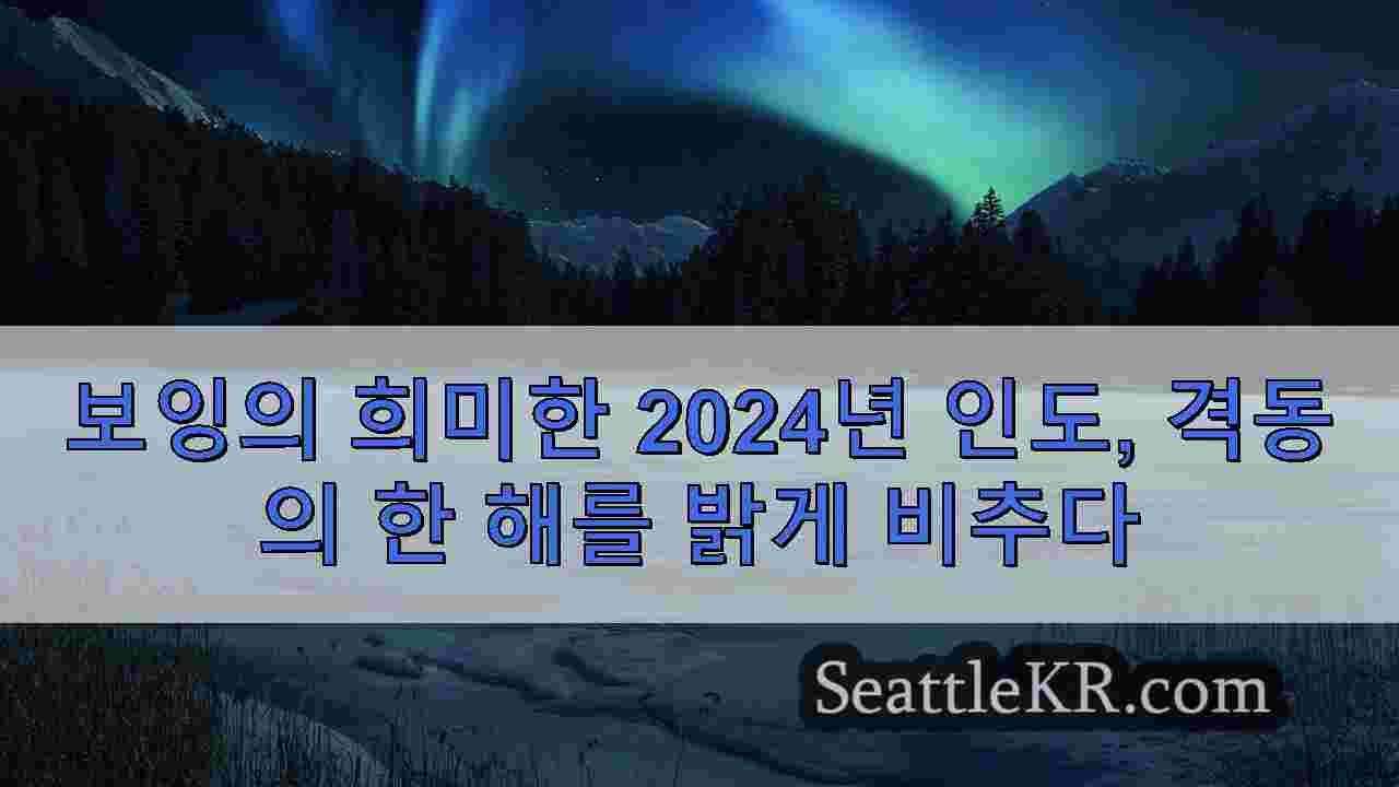 보잉의 희미한 2024년 인도, 격동의 한 해를 밝게 비추다