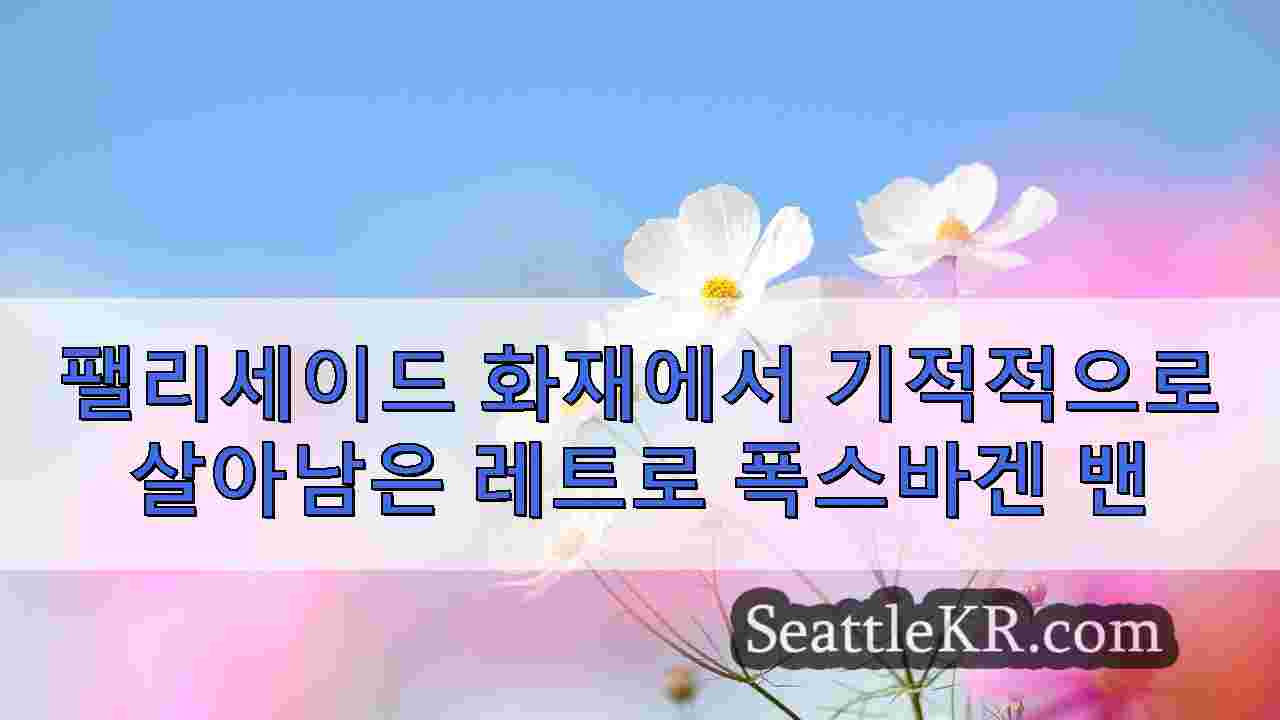 폭스바겐 밴은 어떻게든 치명적인 로스앤젤레스 화재에서 살아남았습니다 희망의 등대