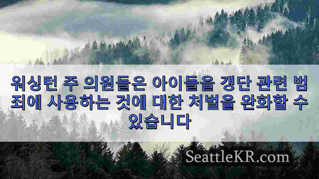 시애틀 뉴스 SeattleKR