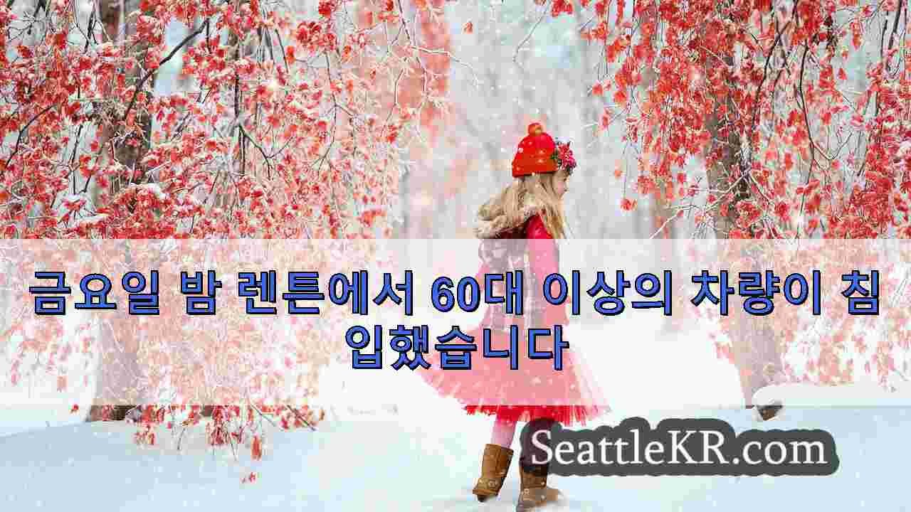 시애틀 뉴스 SeattleKR