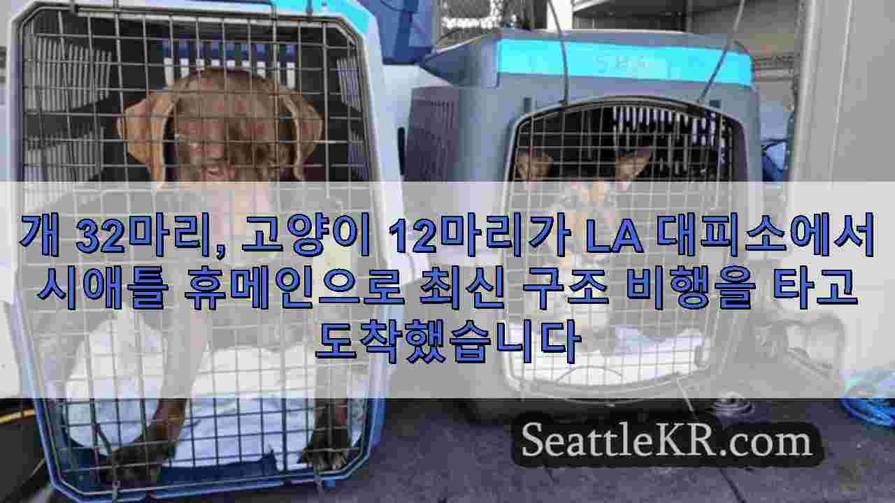 시애틀 뉴스 SeattleKR