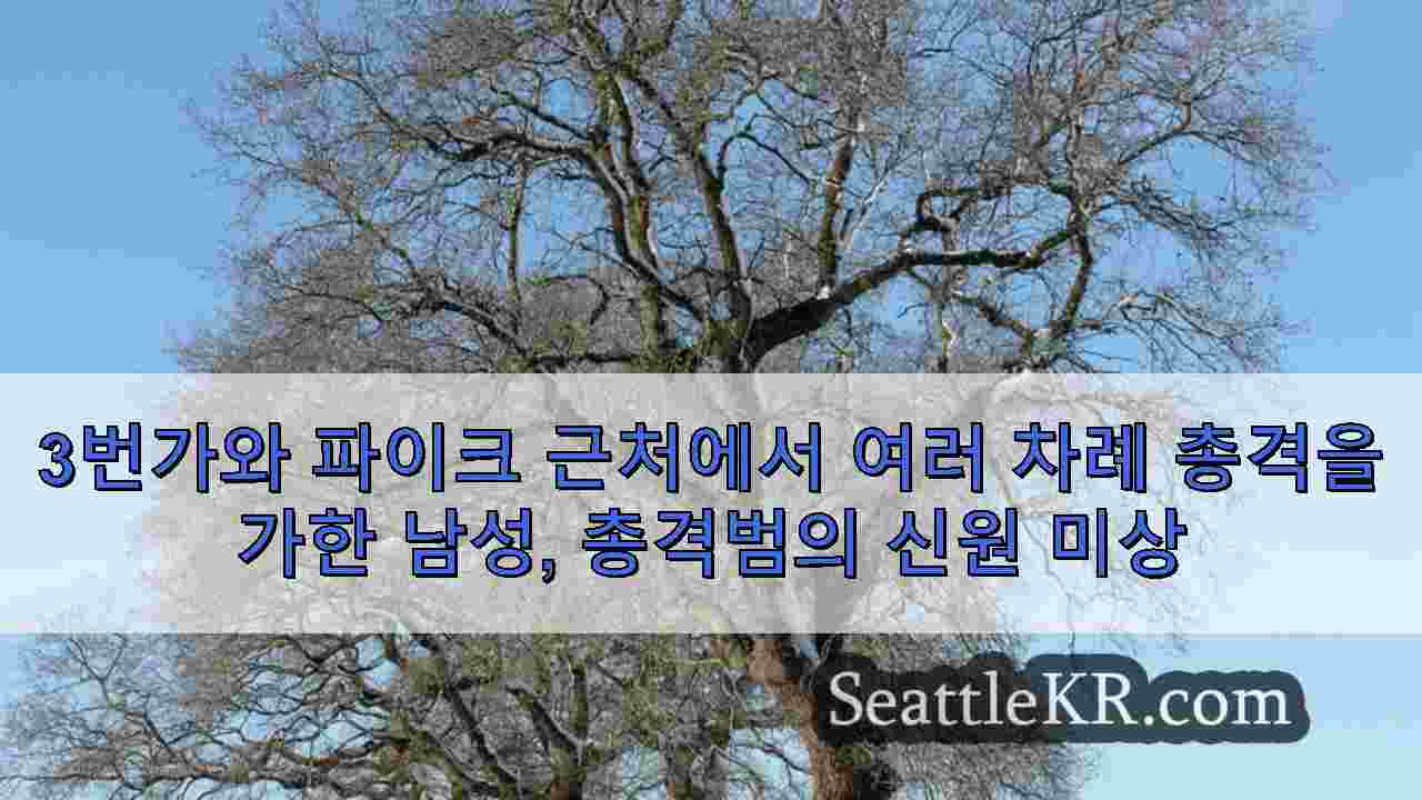 시애틀 뉴스 SeattleKR