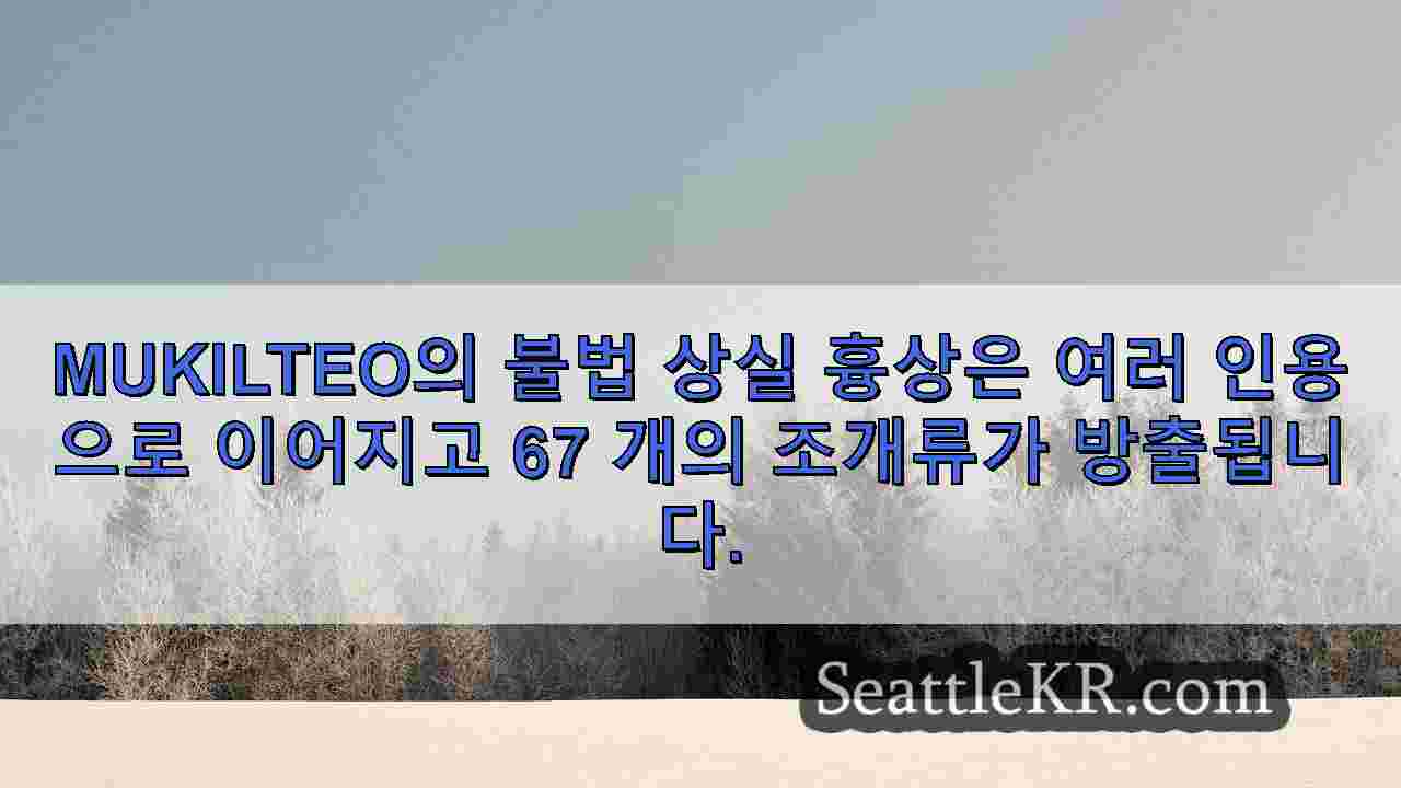 시애틀 뉴스 SeattleKR