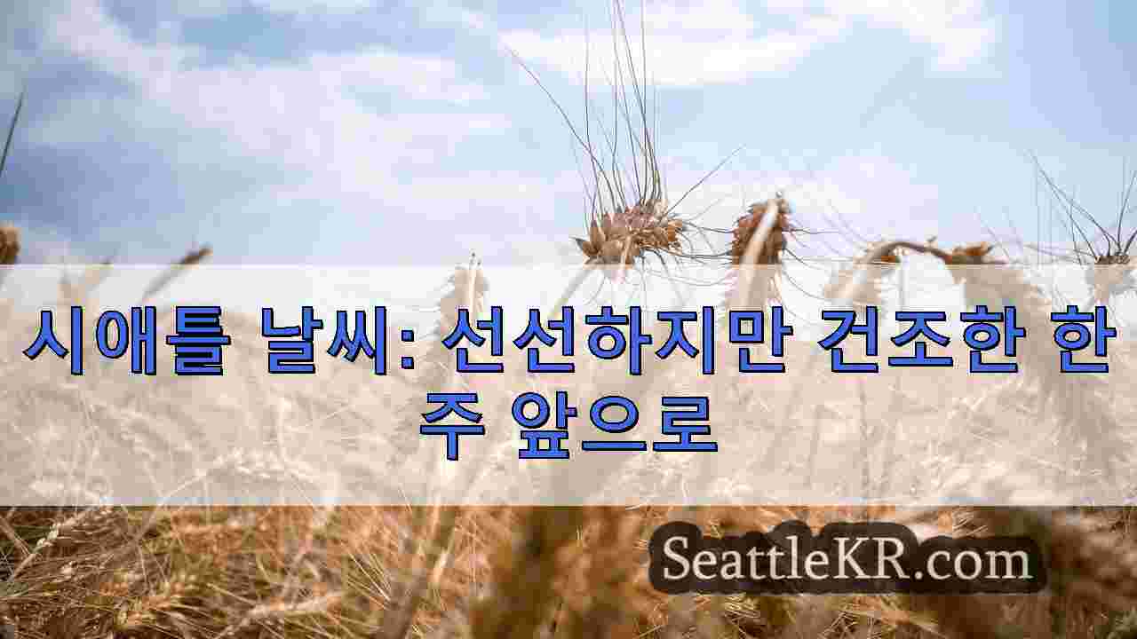 시애틀 뉴스 SeattleKR