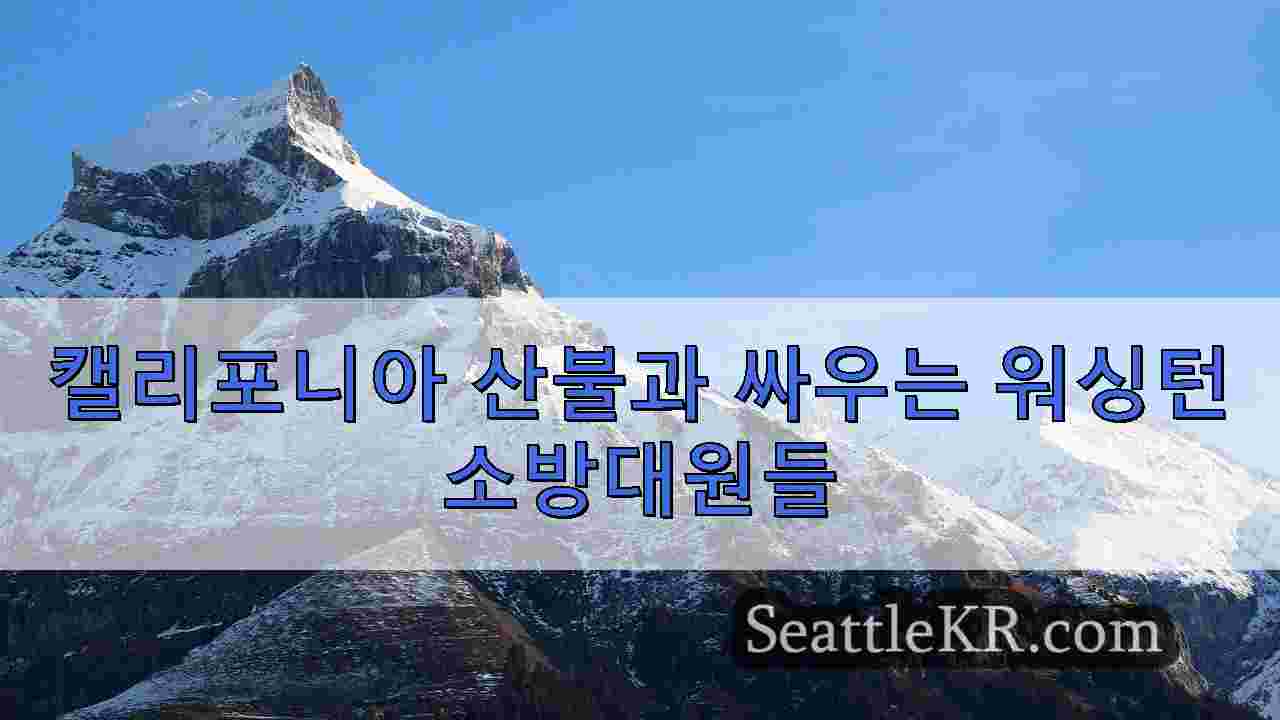 시애틀 뉴스 SeattleKR