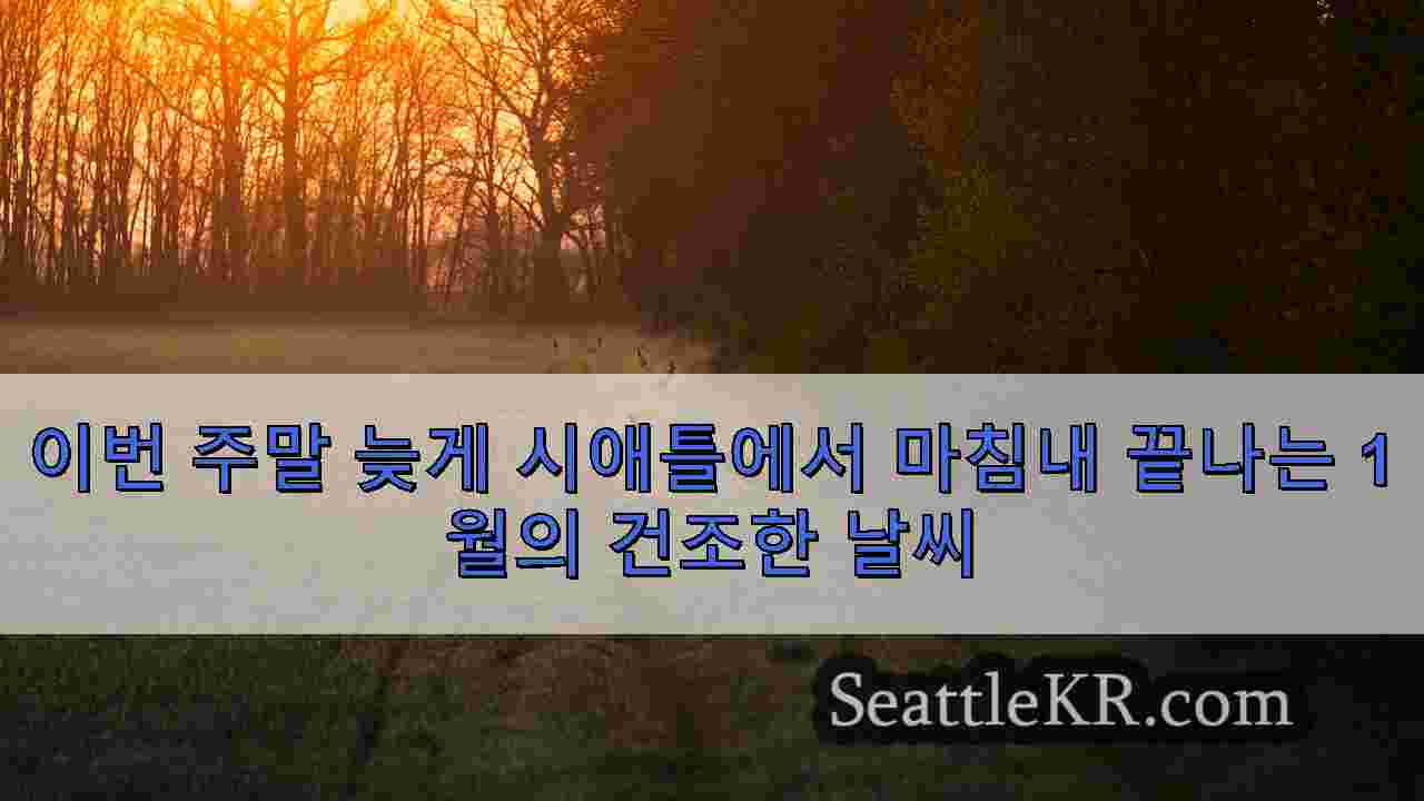 시애틀 뉴스 SeattleKR