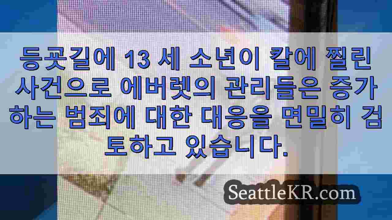 시애틀 뉴스 SeattleKR