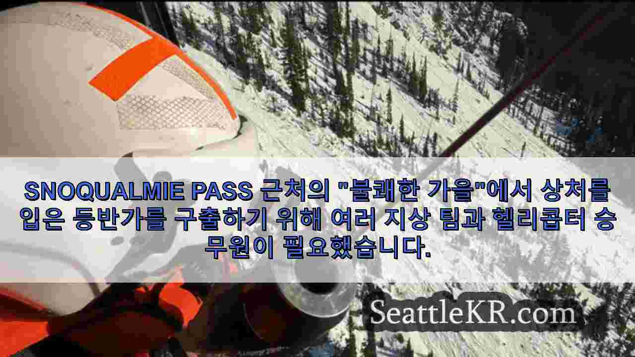 시애틀 뉴스 SeattleKR