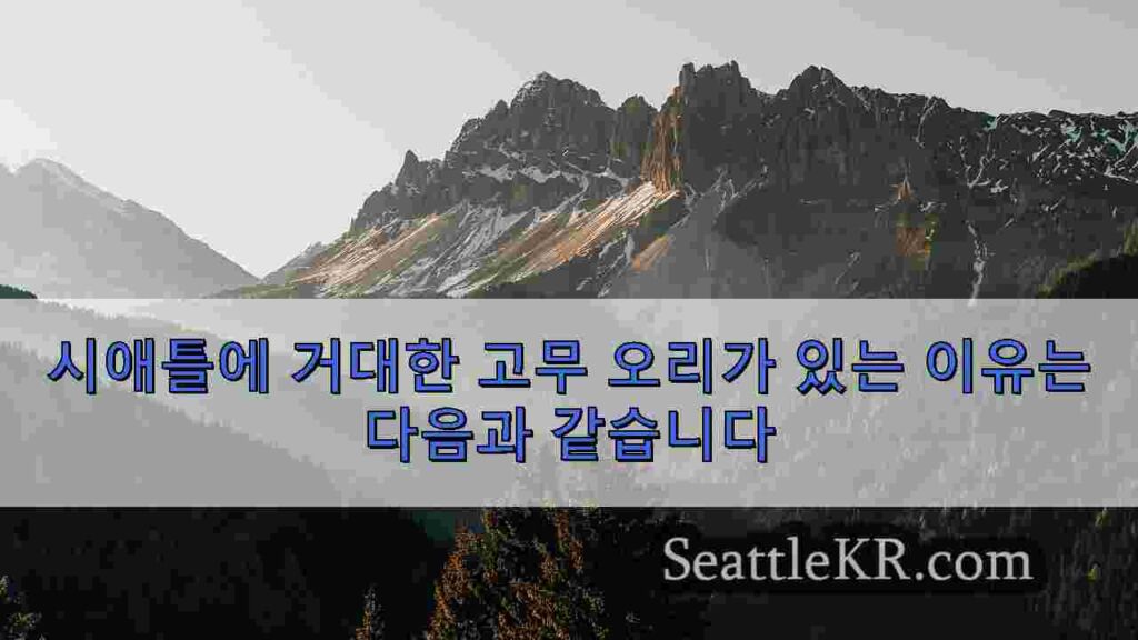 시애틀에 거대한 고무 오리가 있는 이유는 다음과 같습니다