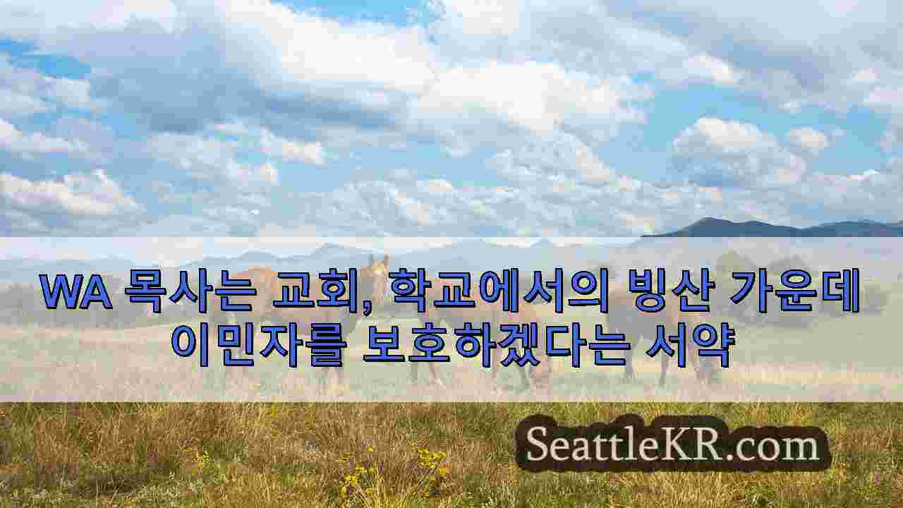 시애틀 뉴스 SeattleKR