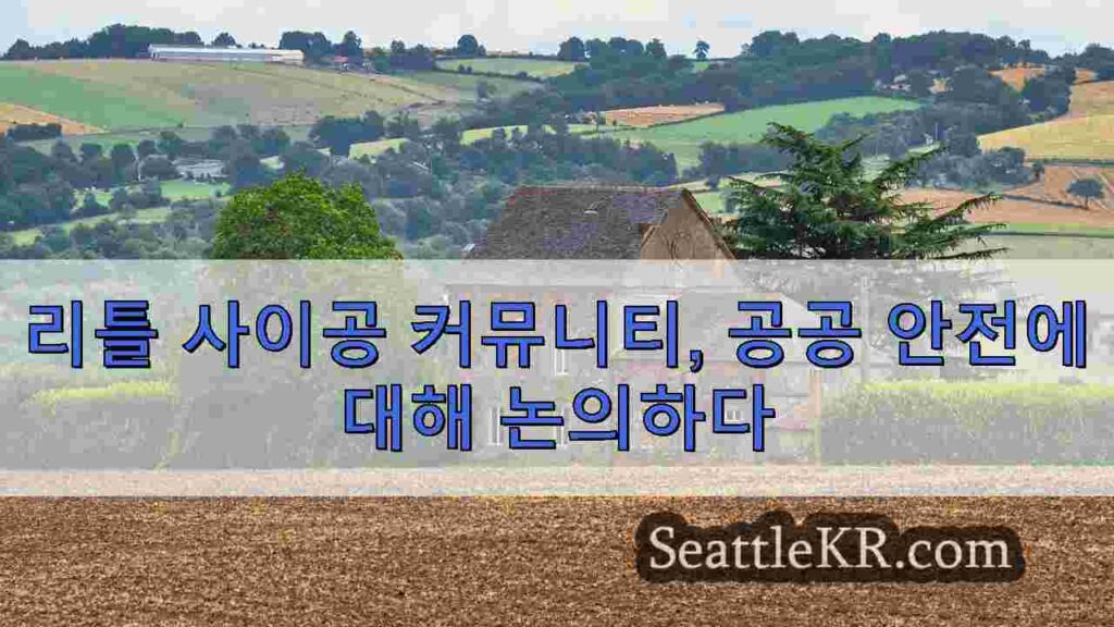 마약에서 칼부림까지, 리틀 사이공이 도움과 자원을 요청하다
