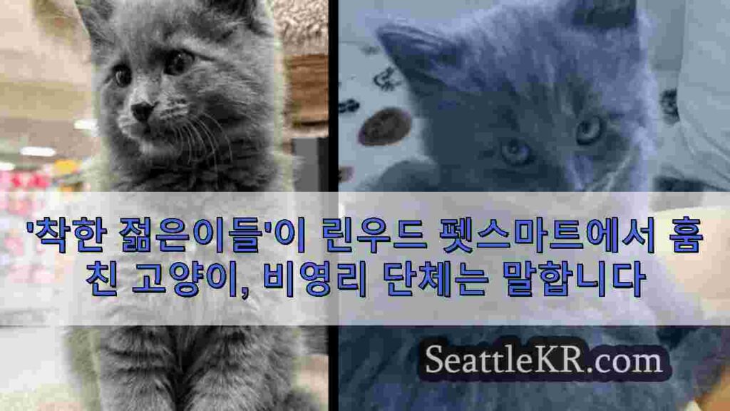 '착한 젊은이들'이 린우드 펫스마트에서 훔친 고양이, 비영리 단체는