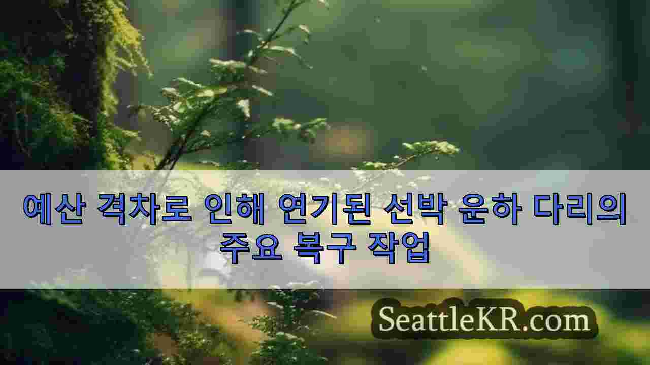 시애틀 뉴스 SeattleKR
