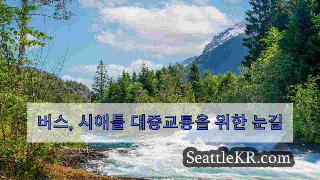 버스, 시애틀 대중교통을 위한 눈길