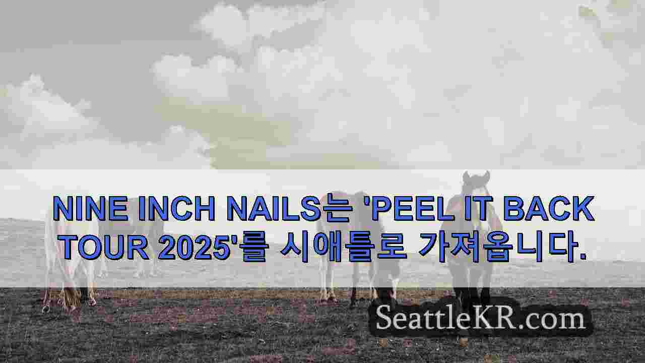 시애틀 뉴스 SeattleKR
