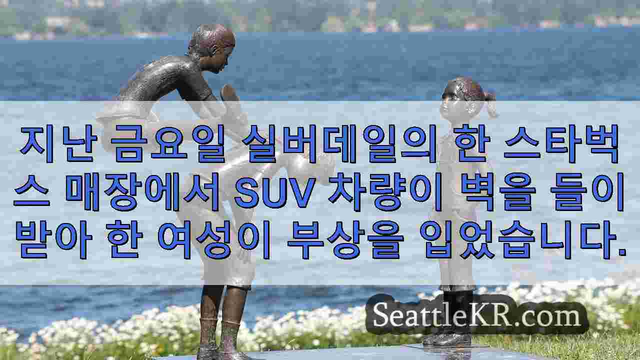 시애틀 뉴스 SeattleKR