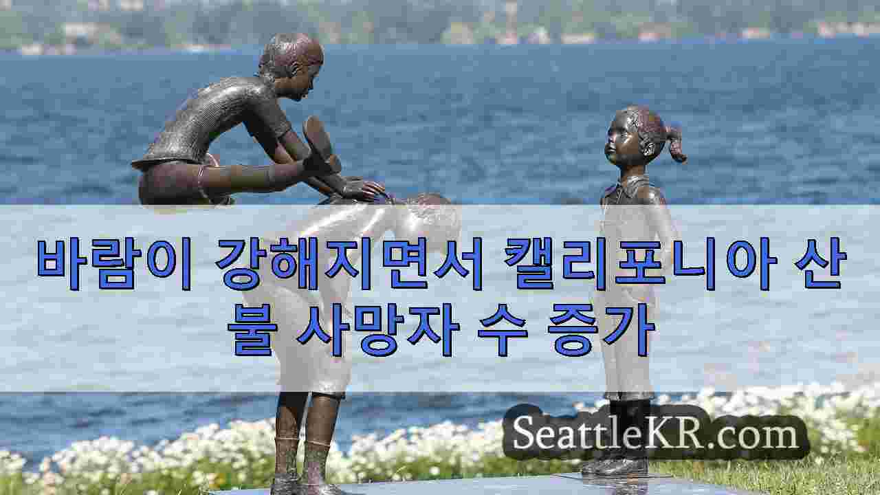 최근 캘리포니아 화재 24 명 사망 16 명 실종 강풍이 다시 돌아옵니다.