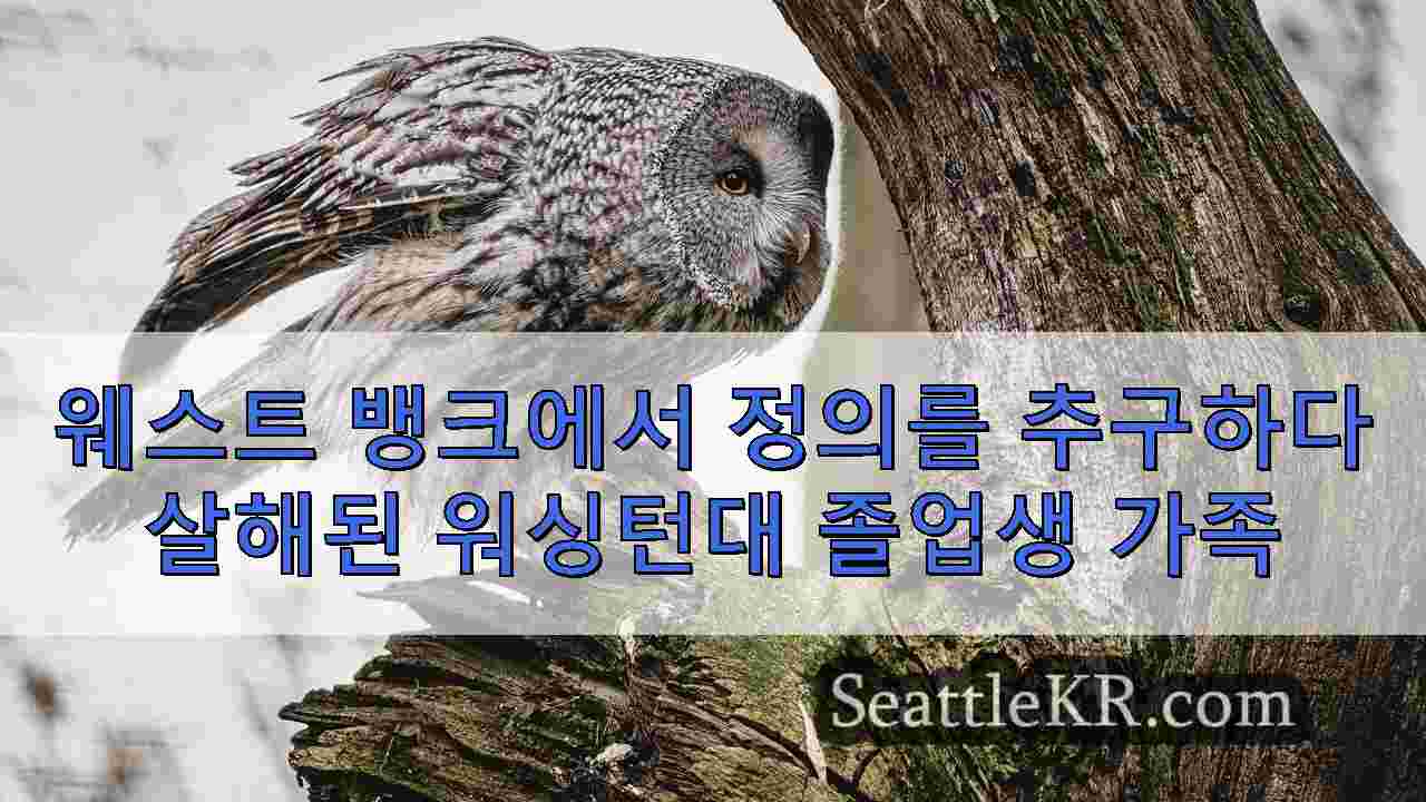 시애틀 뉴스 SeattleKR