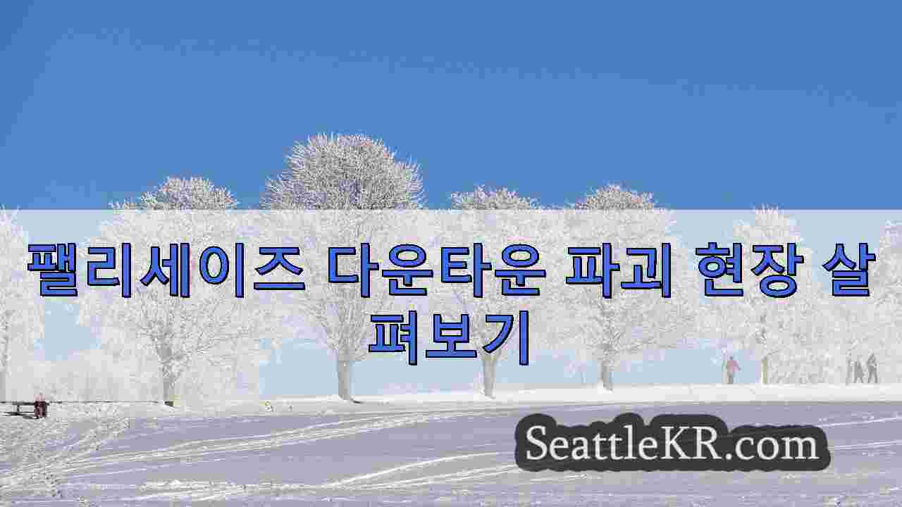 시애틀 뉴스 SeattleKR