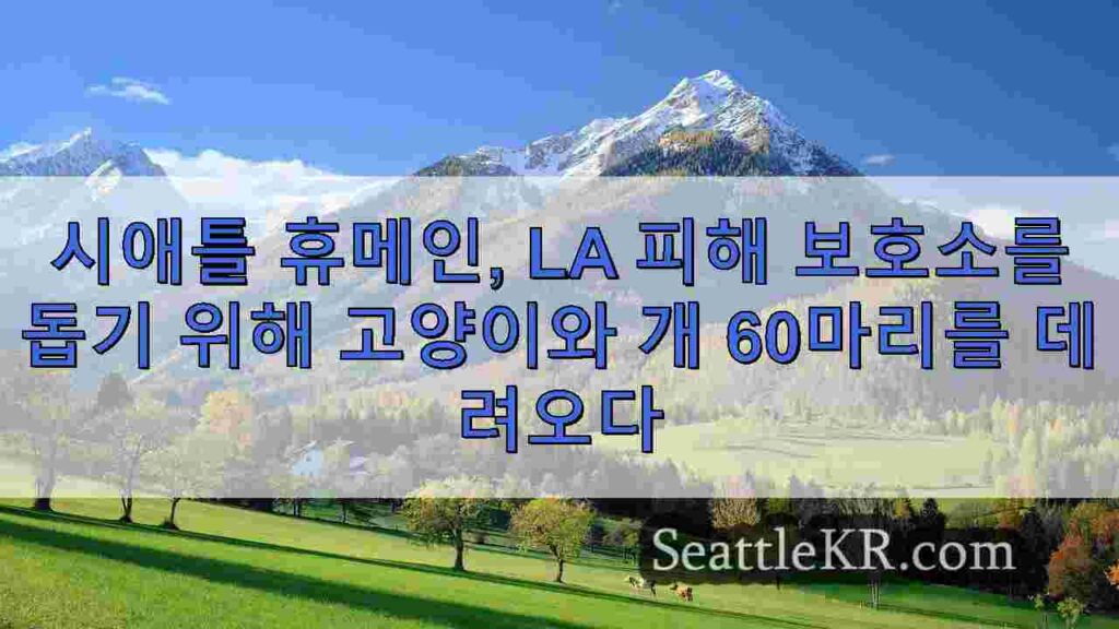 시애틀 휴메인, LA 산불로 피해를 입은 보호소를 돕기 위해 고양이와