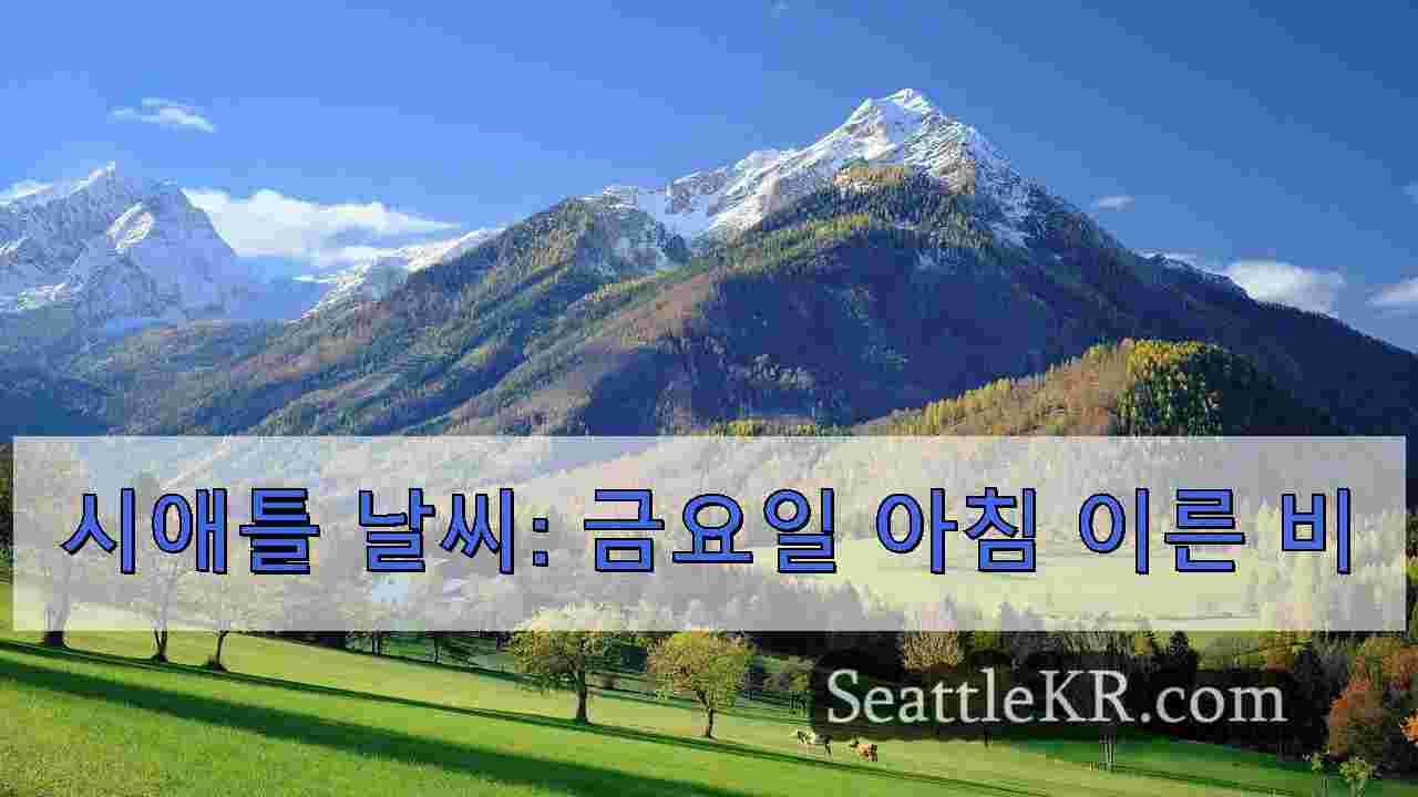 시애틀 뉴스 SeattleKR