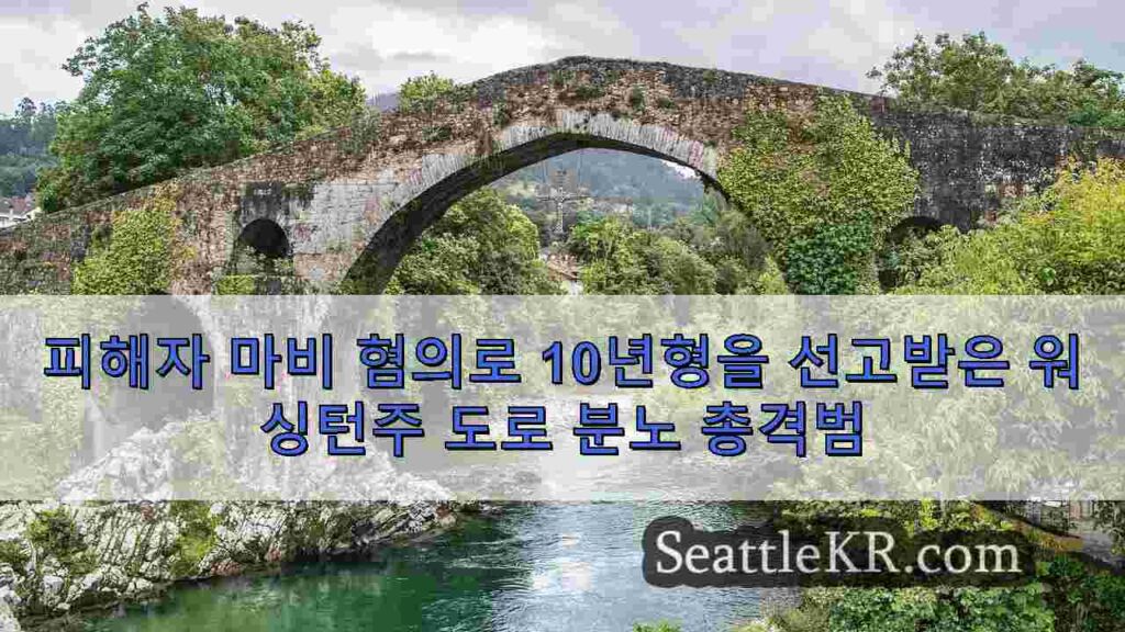 피해자 마비 혐의로 10년형을 선고받은 워싱턴주 도로 분노 총격범