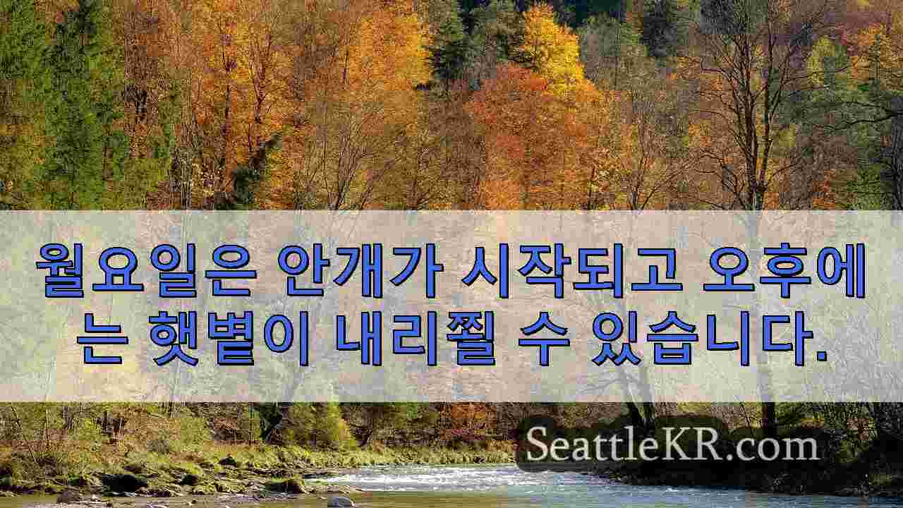 시애틀 뉴스 SeattleKR